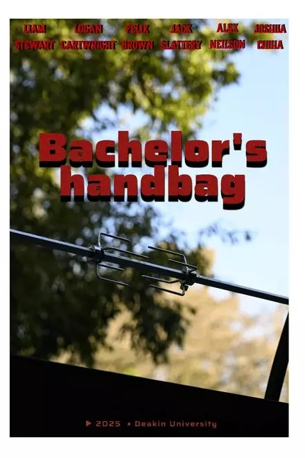 Bachelors Handbag