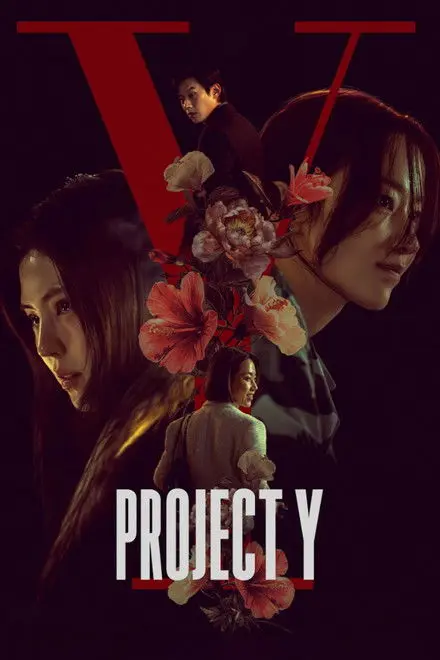 Project Y Project Y