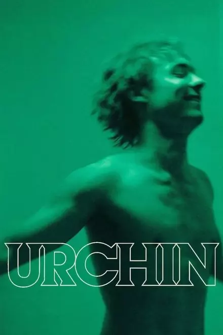 Urchin